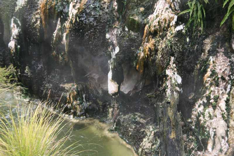 Nieuw-Zeeland 2011 - 0719